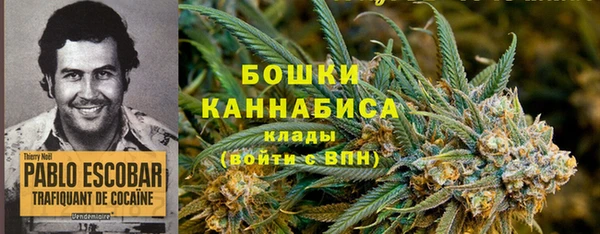 дурь Алзамай