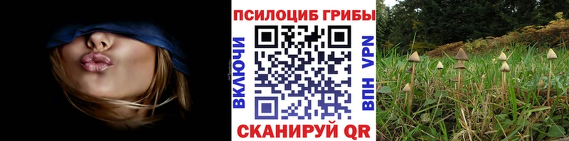 Псилоцибиновые грибы GOLDEN TEACHER  Лермонтов 